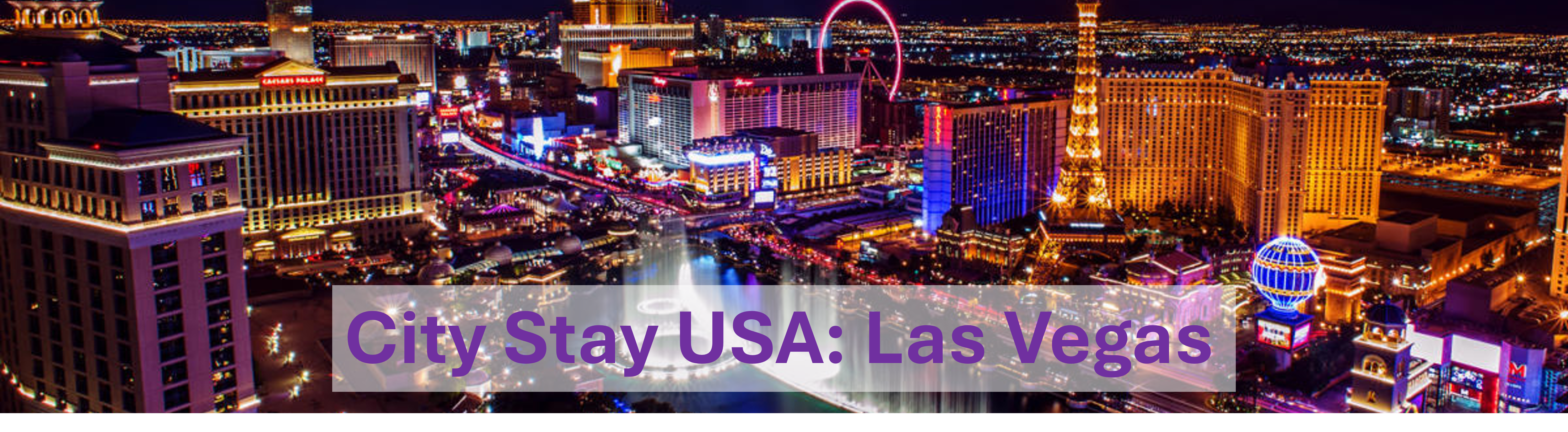 Las Vegas Banner