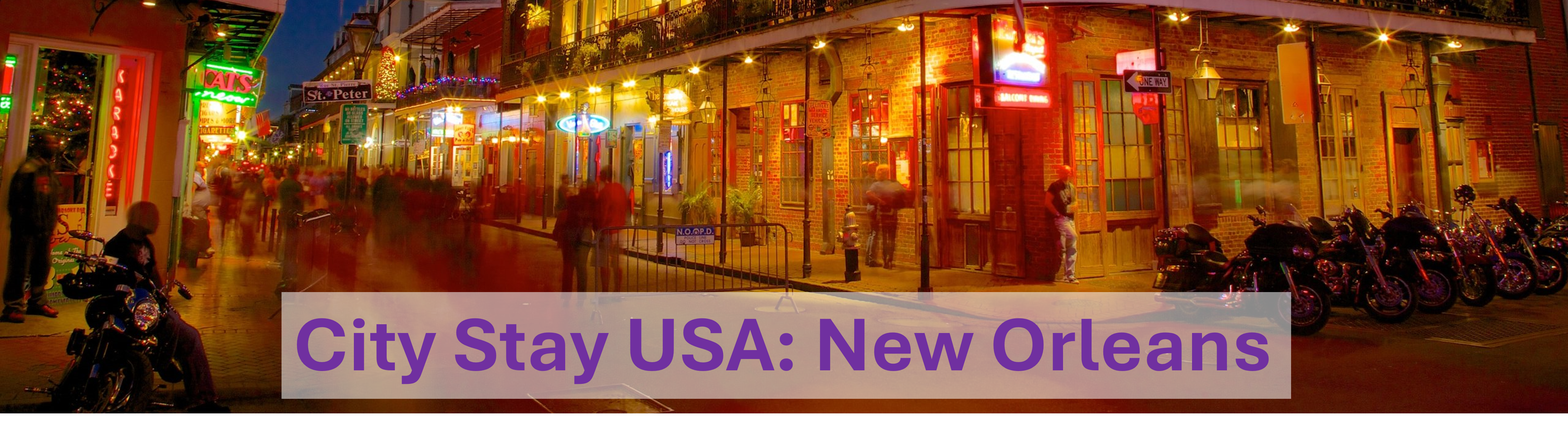 New Orleans Banner