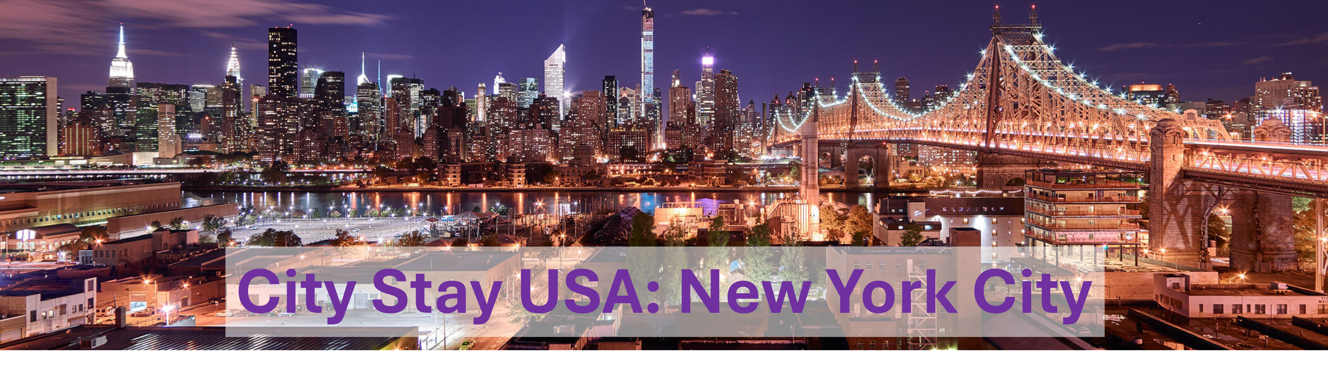 New York City Banner