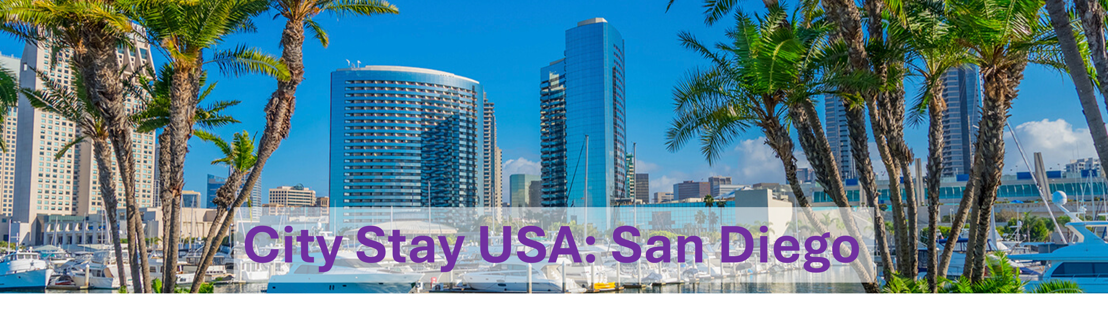 San Diego Banner