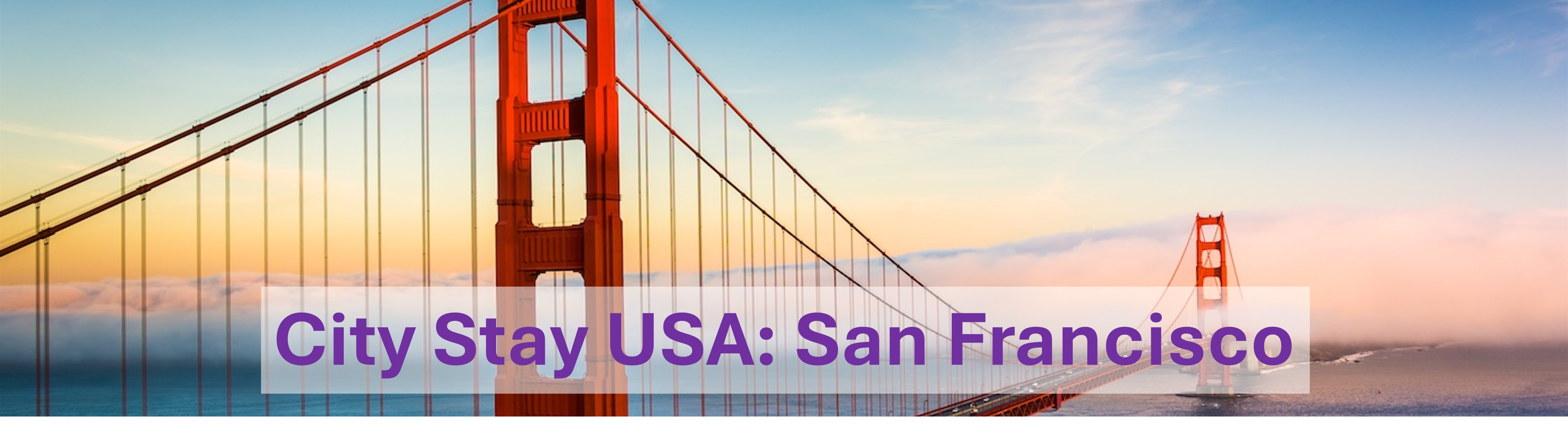 San Francisco Banner