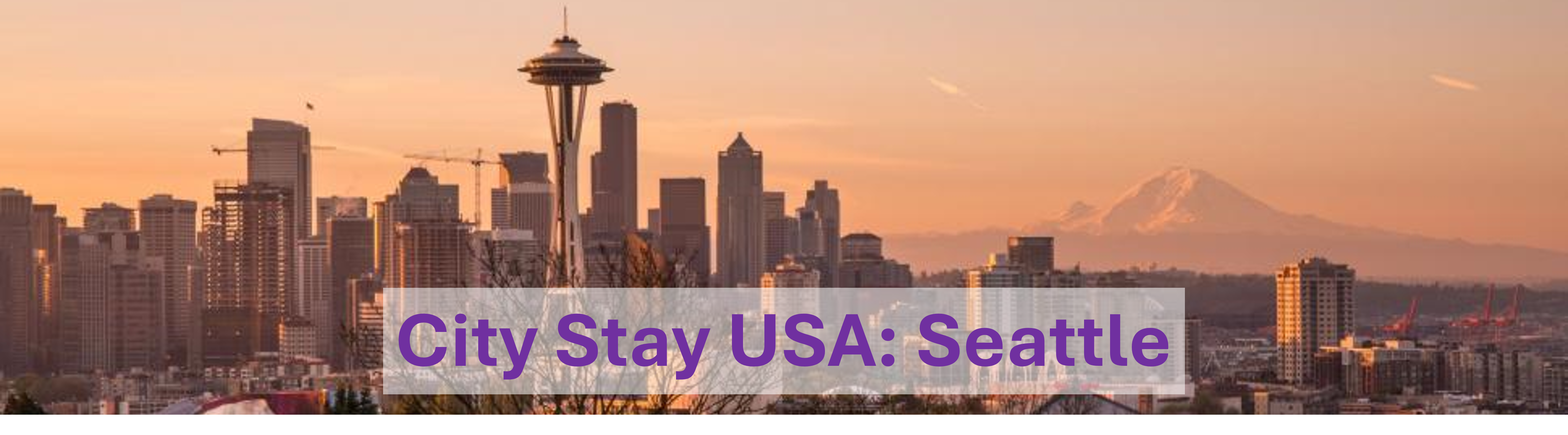 Seattle Banner