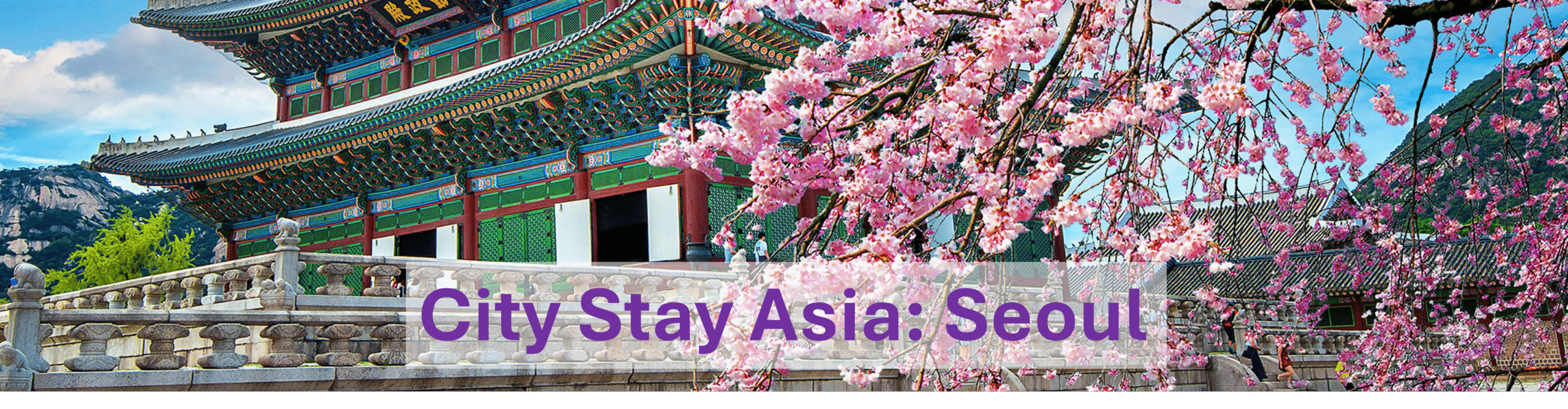 Seoul Banner