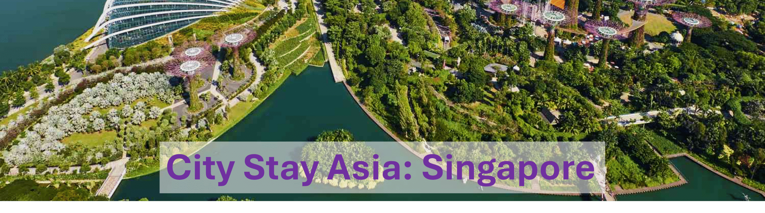 Singapore Banner